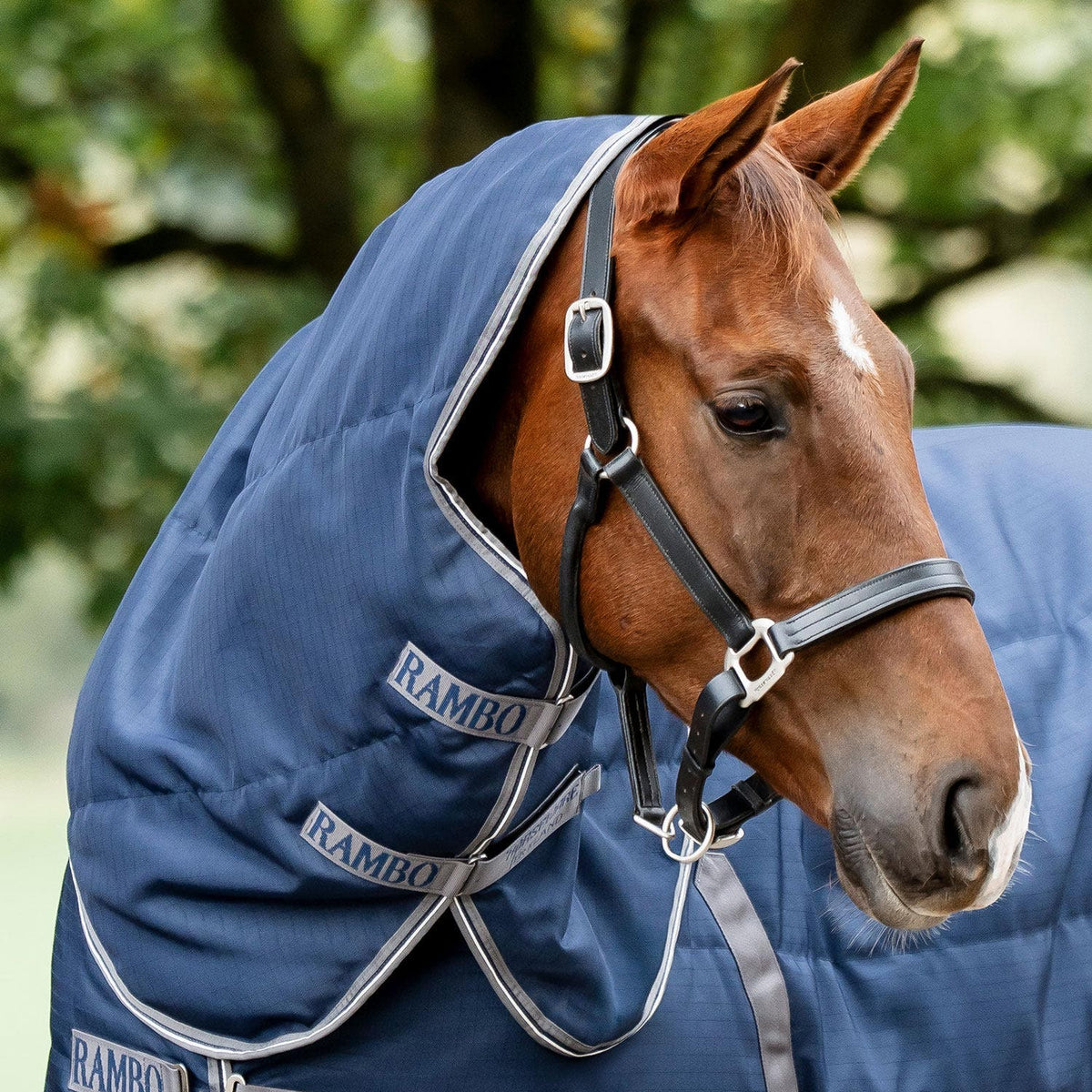 Horseware Ireland Rambo Stable Hood 100g