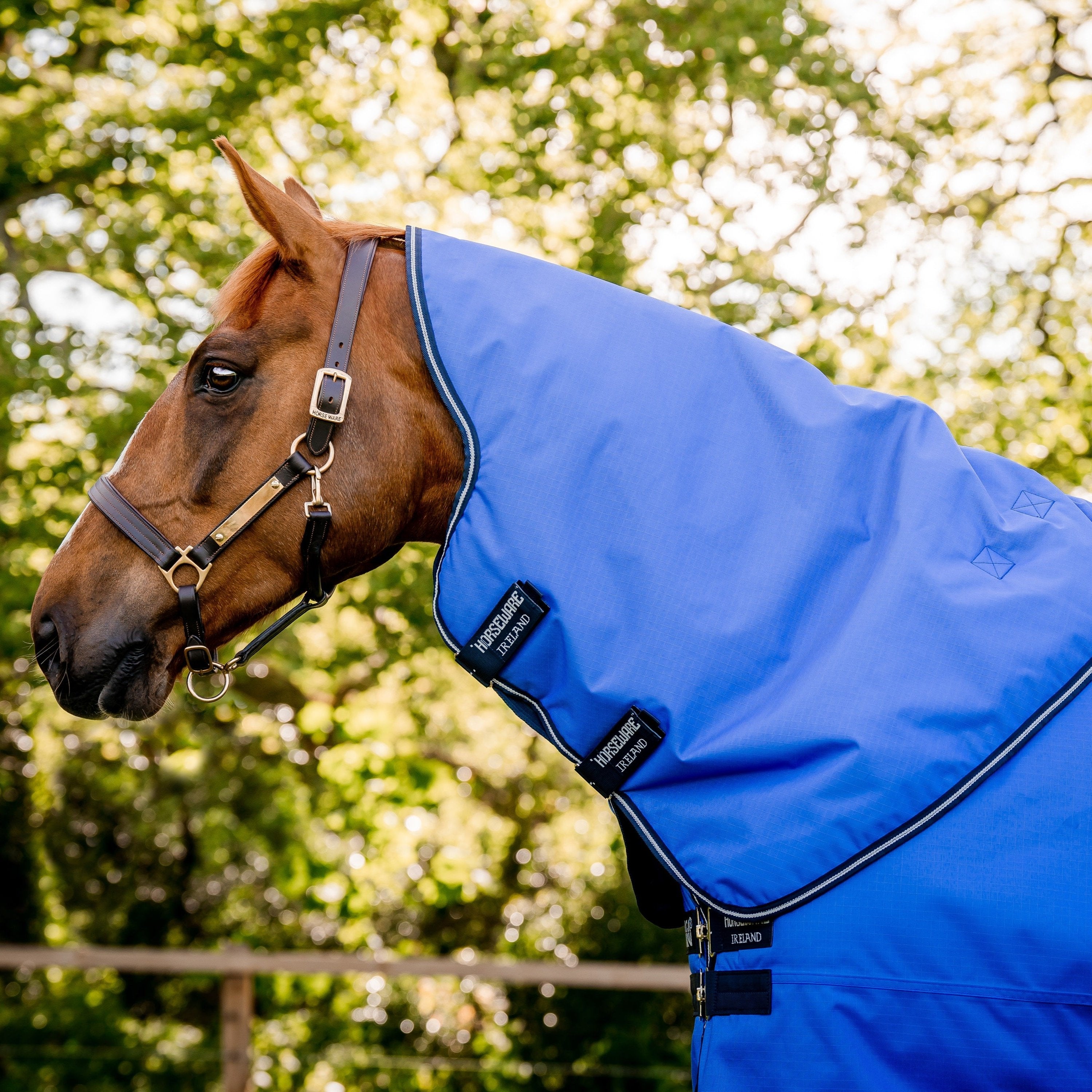 Horseware Ireland Amigo Hero Ripstop Hood 0g – GS Equestrian