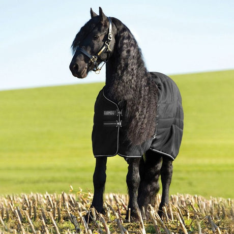 Horseware Ireland Rambo Stable 200g #colour_black-black-silver