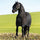 Horseware Ireland Rambo Stable 400g #colour_black-black-silver