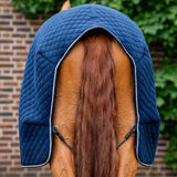 Horseware Ireland Thermal Cooler #colour_navy-navy-silver