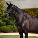 Dublin Padded Mono Crown Patent Flash Bridle with Crystal Browband
