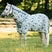 Horseware Ireland Amigo Bug Rug Plus #colour_dragonfly-print-silver-blue-sage