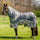 Horseware Ireland Amigo 3-in-1 CamoFly #colour_camofly-print-lime