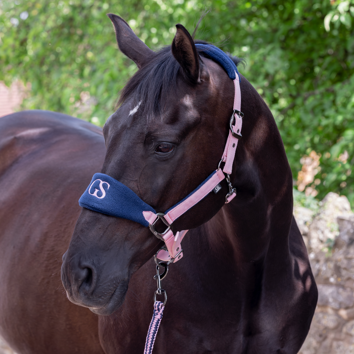 GS Equestrian & Country Headcollar & Lead Rope Set