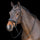 Imperial Riding Snaffle Bridle with English Noseband #colour_black-black