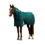 Weatherbeeta Comfitec Plus Dynamic Turnout Detach-A-Neck 360g