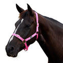 Dublin Everyday Nylon Headcollar for Horses