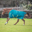 Shires Ontario 100g Turnout Rug #colour_green