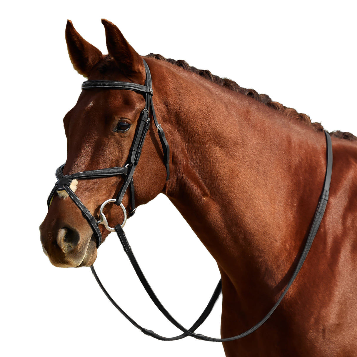Dublin Padded Mono Crown Fancy Stitch Grackle Bridle with Rubber Reins