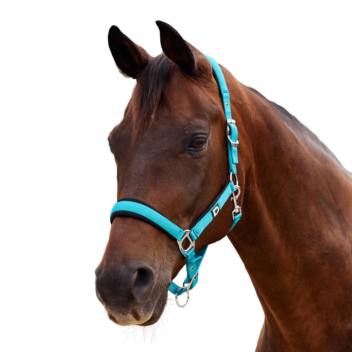 Dublin Neo Comfort Padded Neoprene Horse Headcollar