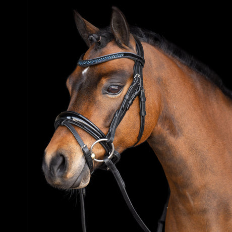 Imperial Riding Petit Bridle #colour_sapphire