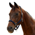 Dublin Braided Leather Padded Horse Headcollar