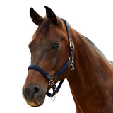 Dublin Braided Leather Padded Horse Headcollar
