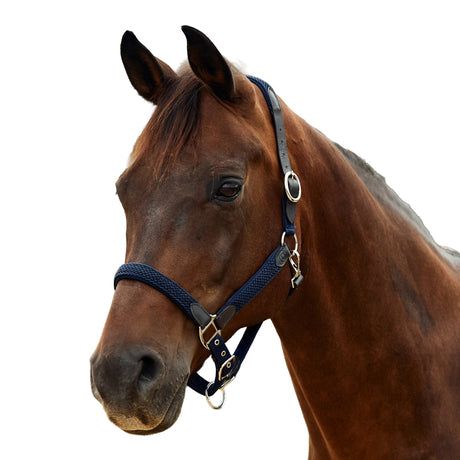 Dublin Braided Leather Padded Horse Headcollar