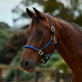Dublin Leather Rope Headcollar with Nickel Buckles
