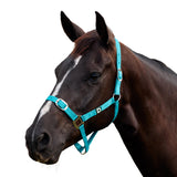 Dublin Everyday Nylon Headcollar for Horses