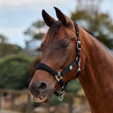 Dublin Neo Comfort Padded Neoprene Horse Headcollar