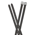 Dublin Web Back Leather Stirrup Straps