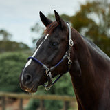 Dublin Leather Rope Headcollar with Nickel Buckles