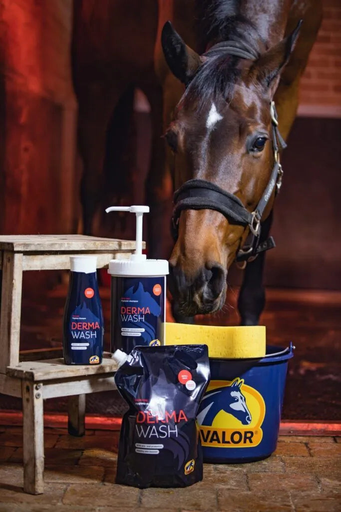 Cavalor Derma Wash Horse Shampoo