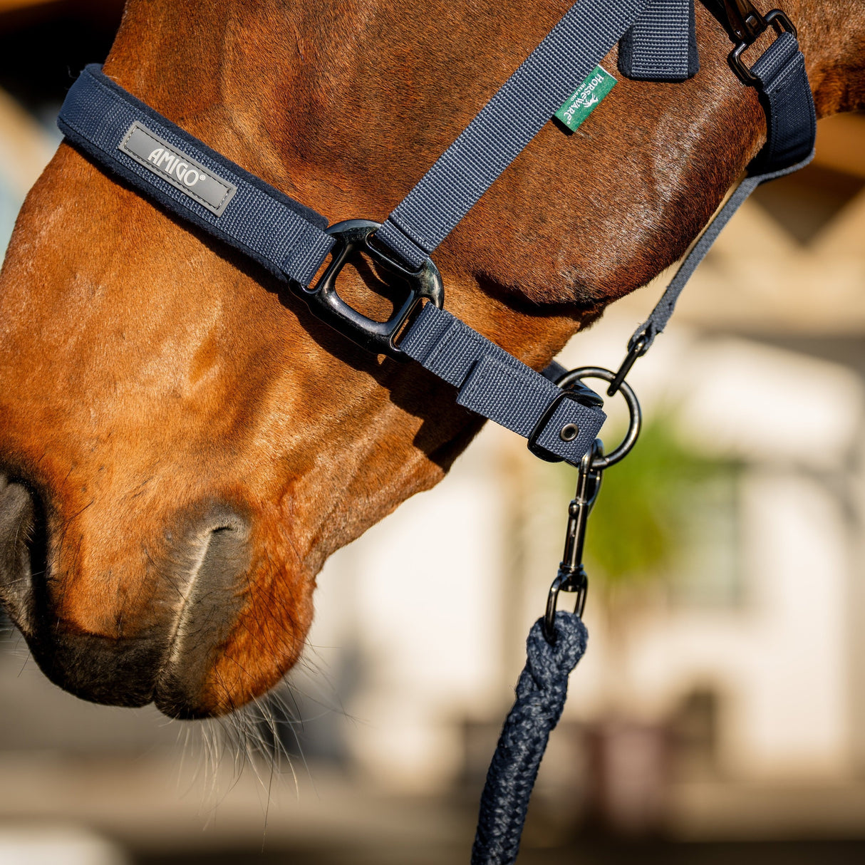 Horseware Ireland Amigo Headcollar & Leadrope Set #colour_navy