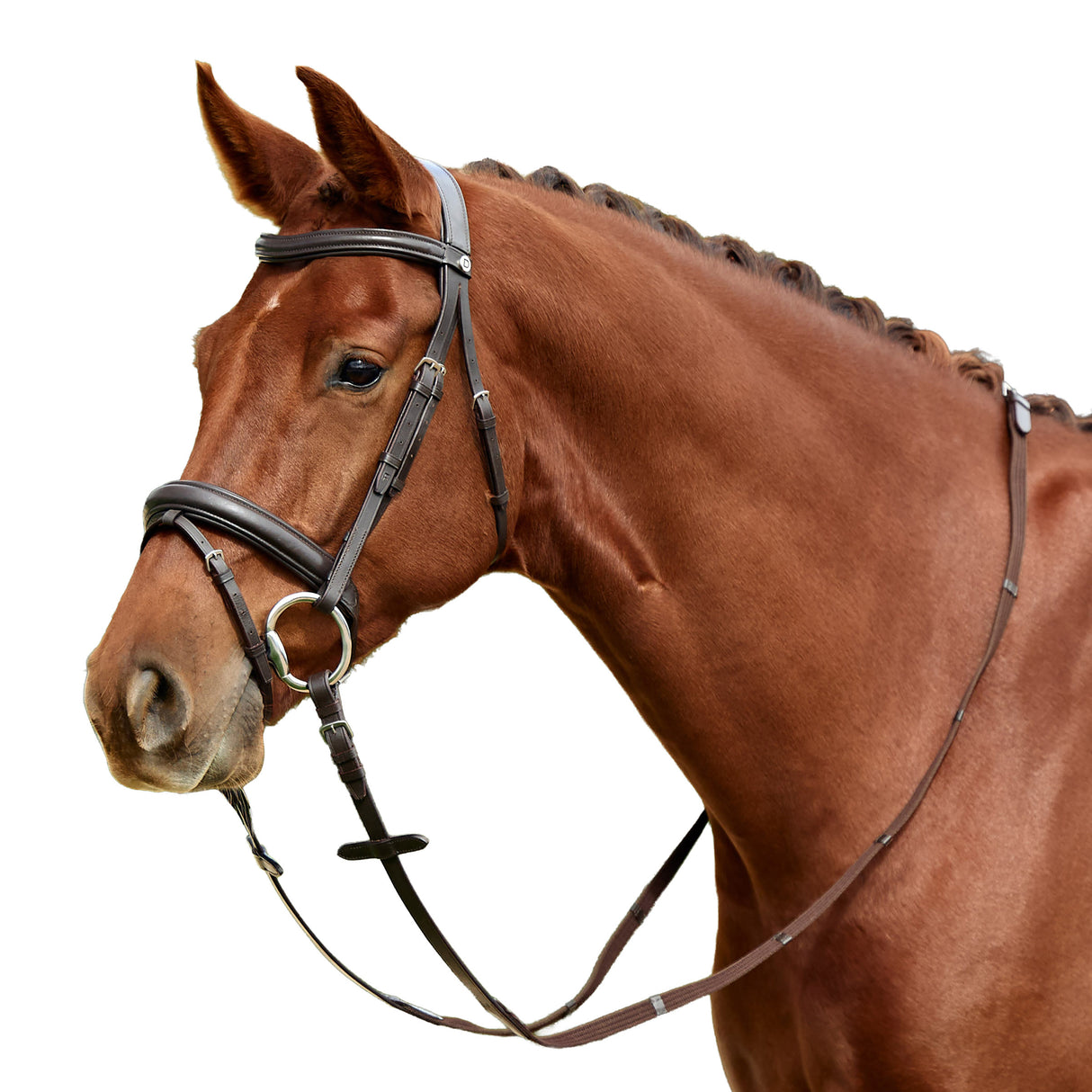 Dublin Padded Mono Crown Flash Leather Bridle for Horses