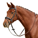 Dublin Padded Mono Crown Flash Leather Bridle for Horses