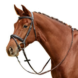 Dublin Padded Mono Crown Flash Leather Bridle for Horses