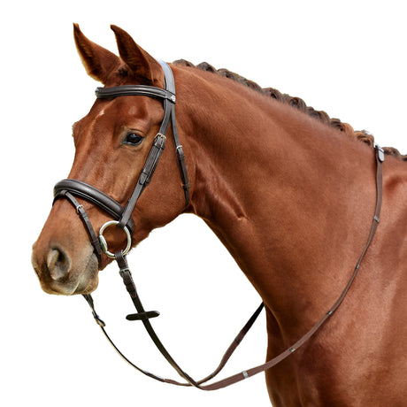 Dublin Padded Mono Crown Flash Leather Bridle for Horses