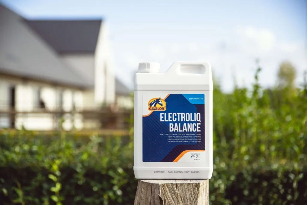 Cavalor Electroliq Balance Liquid Electrolyte Supplement