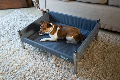 Henry Wag Elevated Dog Bed #colour_grey/black