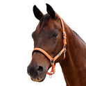 Dublin Neo Comfort Padded Neoprene Horse Headcollar