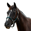 Dublin Leather Rope Headcollar with Nickel Buckles