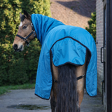 GS Equestrian 100g Detachable Neck Turnout Rug #colour_teal-black