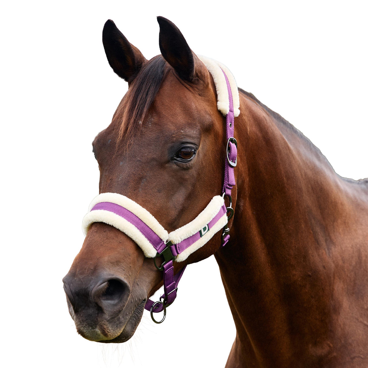 Dublin Soft Fit Fleece Padded Horse Headcollar