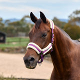 Dublin Soft Fit Fleece Padded Horse Headcollar