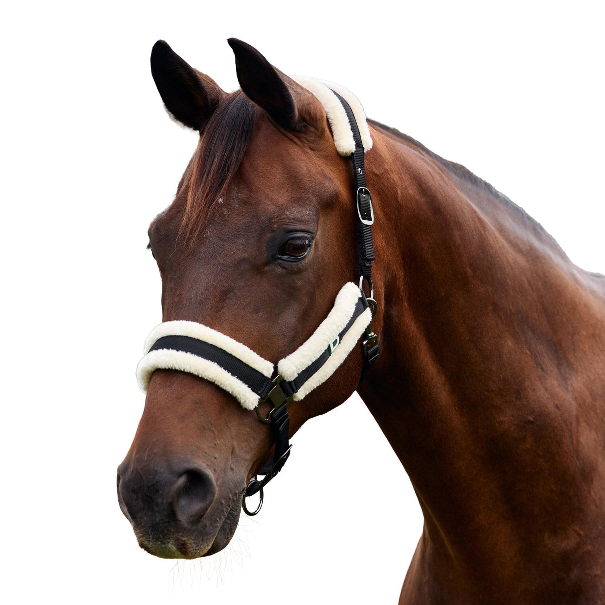 Dublin Soft Fit Fleece Padded Horse Headcollar
