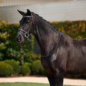Dublin Padded Comfort Crown Crystal Flash Leather Show Bridle