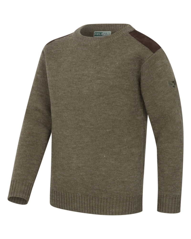 Hoggs of Fife Melrose II Crew Pullover #colour_meadow-green-marl