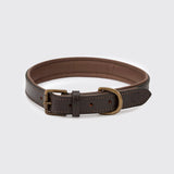 Dubarry Axel Leather Dog Collar