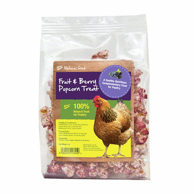 Nature's Grub Popcorn Treat with Fruit