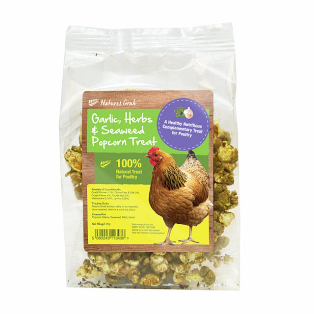Nature's Grub Popcorn Treat with Garlic