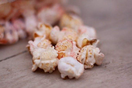 Nature's Grub Popcorn Treat with Fruit