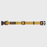 Dubarry Apollo Dog Collar
