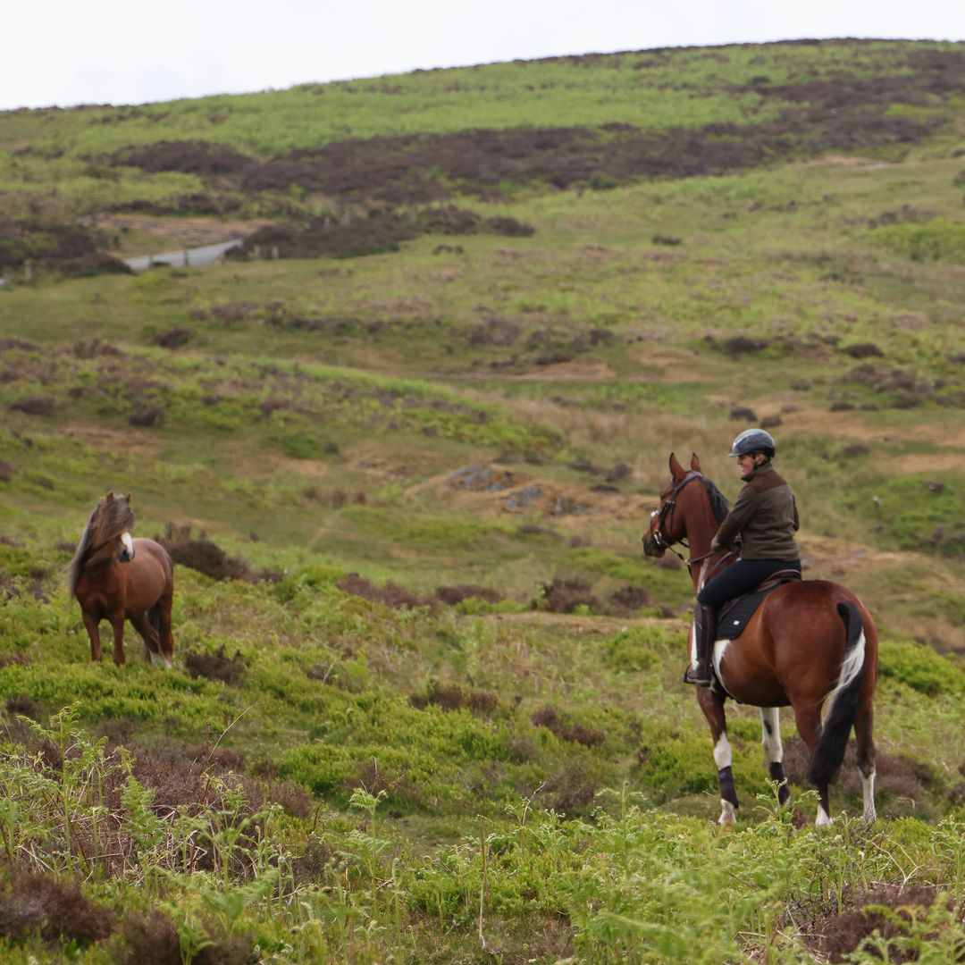 Shires Aubrion Heritage Unisex Quarter Zip Fleece #colour-dark-olive