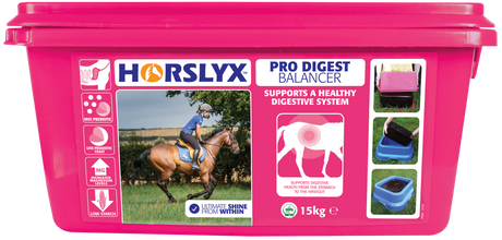 Horslyx Pro Digest Balancer