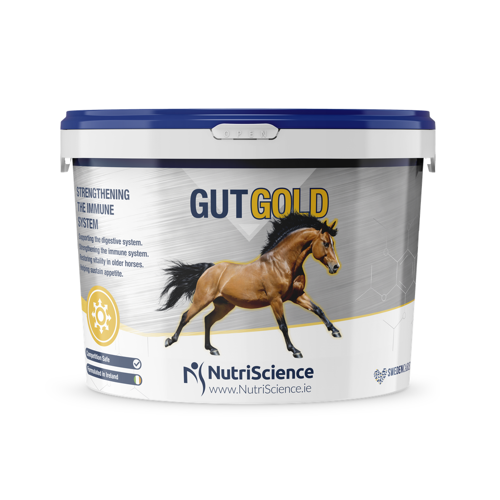 Equine Gold
