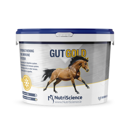 Equine Gold
