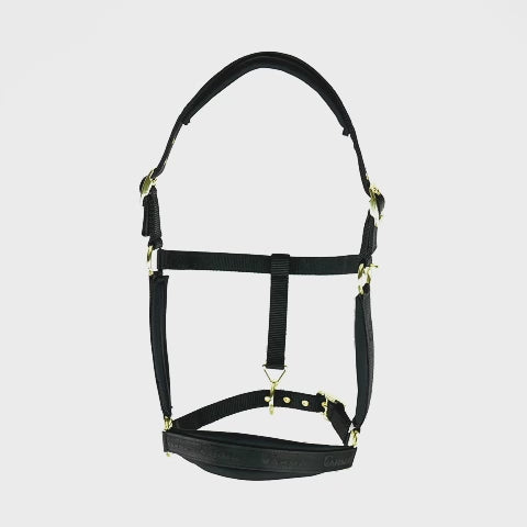 Shires ARMA Padded Headcollar